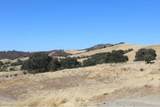 71901 Vineyard Canyon Road - Photo 4