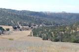 71901 Vineyard Canyon Road - Photo 8