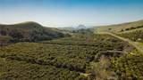1800 Atascadero - Photo 39