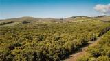 1800 Atascadero - Photo 44