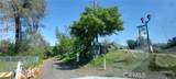 3041 Orange Avenue - Photo 45