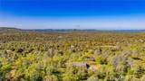 33067 Blue Vista Court - Photo 48
