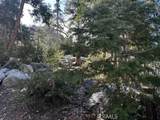 0 Fir - Photo 2