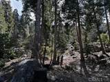 0 Fir - Photo 3