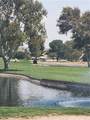 27004 Reef - Photo 4