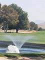 27004 Reef - Photo 5