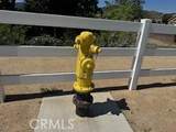 38014002 Kilgore Ln - Photo 7