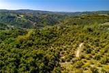22103 Carancho - Photo 11