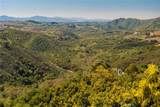 22103 Carancho - Photo 13