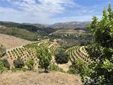 0 Avennida Tierra 2 Lots - Photo 7
