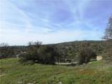 39854 Lilley Mountain - Photo 34