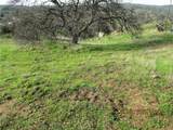 39854 Lilley Mountain - Photo 38