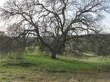 39854 Lilley Mountain - Photo 45