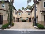 39244 Turtle Bay Ln. - Photo 3