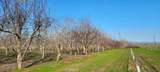 0 River Road - Photo 1