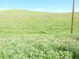 0 Douglas Rd. (Lot 41) - Photo 12