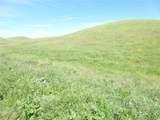 0 Douglas Rd. (Lot 41) - Photo 13