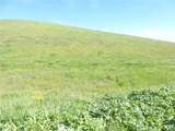 0 Douglas Rd. (Lot 41) - Photo 14