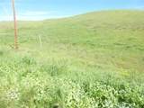 0 Douglas Rd. (Lot 41) - Photo 15