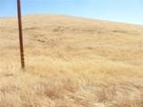 0 Douglas Rd. (Lot 41) - Photo 17