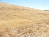 0 Douglas Rd. (Lot 41) - Photo 18