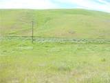 0 Douglas Rd. (Lot 41) - Photo 3