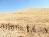 0 Douglas Rd. (Lot 41) - Photo 22
