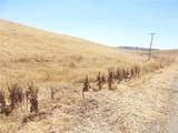 0 Douglas Rd. (Lot 41) - Photo 24