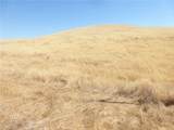 0 Douglas Rd. (Lot 41) - Photo 25