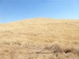 0 Douglas Rd. (Lot 41) - Photo 26