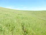 0 Douglas Rd. (Lot 41) - Photo 5