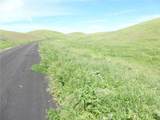0 Douglas Rd. (Lot 41) - Photo 6