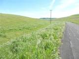 0 Douglas Rd. (Lot 41) - Photo 7