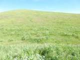0 Douglas Rd. (Lot 41) - Photo 9