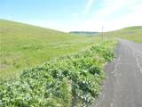 0 Douglas Rd. (Lot 41) - Photo 10