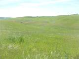 0 Douglas Rd. (Lot 42) - Photo 12