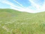 0 Douglas Rd. (Lot 42) - Photo 14