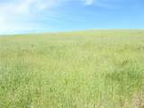 0 Douglas Rd. (Lot 42) - Photo 15