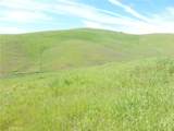 0 Douglas Rd. (Lot 42) - Photo 17
