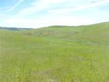 0 Douglas Rd. (Lot 42) - Photo 18