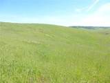 0 Douglas Rd. (Lot 42) - Photo 19