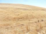 0 Douglas Rd. (Lot 42) - Photo 31