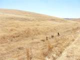 0 Douglas Rd. (Lot 42) - Photo 32