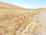 0 Douglas Rd. (Lot 42) - Photo 33