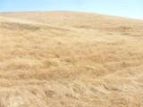 0 Douglas Rd. (Lot 42) - Photo 36