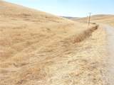 0 Douglas Rd. (Lot 42) - Photo 37