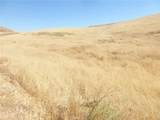 0 Douglas Rd. (Lot 42) - Photo 40