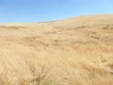 0 Douglas Rd. (Lot 42) - Photo 41
