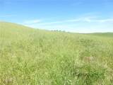0 Douglas Rd. (Lot 42) - Photo 8