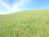0 Douglas Rd. (Lot 42) - Photo 9